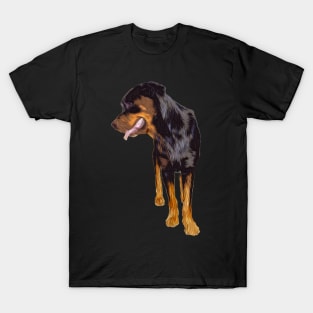 beautiful rottweiler T-Shirt